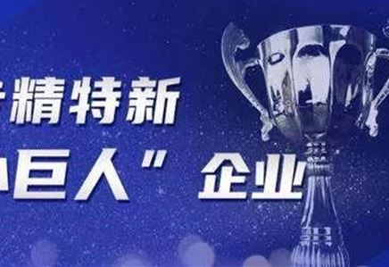 公司獲江蘇省“專精特新小巨人”榮譽(yù)稱號(hào)